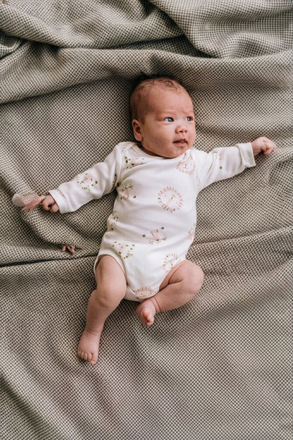 Lot de 2 bodies « Roar! »